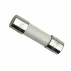 共立電気計器 ヒューズ（16A/250V Φ5×20mm） ( 8929 )