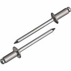 エビ ( ロブテックス ) ブラインドリベット(アルミニウム/スティール製) 6-8(25本入) エコパック ( NSA68MP )  ( I9L05 )