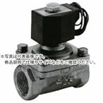 CKD パイロットキック式2ポート電磁弁(マルチレックスバルブ) ( ADK11-25A-03A-AC200V ) ( NHQ49 )