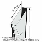 ボッシュ センタンノズル N4 PHG500 ( PHG-N4 )