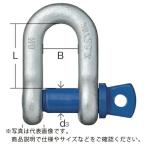 OH ( オーエッチ工業 ) 鍛造シャックル 使用荷重3.25t ( SC-32T )  ( P3Q41 )