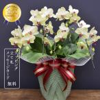 敬老の日 花-商品画像