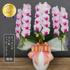 胡蝶蘭 オリビア3本立ち【全国洋らん品評会金賞受賞胡蝶蘭】 母の日 開店祝い 開院祝い 就任祝い お祝い 誕生日 プレゼント ギフト 花 鉢植え
