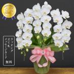 胡蝶蘭 ロビンソン3本立ち 蘭 ミディ 鉢植え 白 母の日 お中元 敬老の日 開店祝い お祝い 誕生日 ギフト プレゼント 花