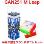 [3. месяц гарантия ]GANCUBE GAN251 M Leap 10 Years Grand Gift Set 10 anniversary commemoration Grand подарок комплект 251 стикер отсутствует UV 2x2 Cube магнит магнитный 