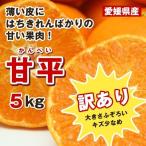 ショッピング甘平 訳あり農家のまかない甘平5キロ（大きさ不揃い、）愛媛県産防腐剤無皮ごと食べれます。
