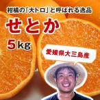 se или выгода для 5 kilo размер ....