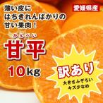 ショッピング甘平 家庭用【大きさふぞろいキズお得】甘平１０K（愛媛県大三島産）（5キロ箱2個）