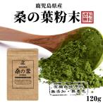 ショッピング青汁 鹿児島県産 桑の葉青汁 桑の葉茶 桑茶粉末 120g（約40日分）国産 有機 桑の葉パウダー 無添加・無着色 オーガニック