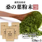 鹿児島県産 桑の葉青汁 桑の葉茶 桑茶粉末 600g(120gx5袋)国産 有機 桑の葉パウダー 無添加・無着色 オーガニック まとめ買い