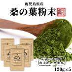 鹿児島県産 桑の葉青汁 桑の葉茶　桑茶粉末 600g（120gｘ5袋）国産 有機 桑の葉パウダー 無添加・無着色 オーガニック まとめ買い