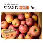  Yamagata префектура яблоко солнечный .. мир . яблоко обработка для 5kg Asahichou 12 месяц сверху .~ последовательный отправка 