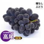  Yamagata префектура виноград Takao Special превосходящий товар примерно 1.8kg 4~5. Asahichou . пестициды 9 месяц средний .~ последовательный отправка 