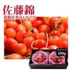  вишня Sato . превосходящий товар L размер 200g Yamagata префектура восток корень город 4 месяц последняя декада ~5 месяц последняя декада последовательный отправка 