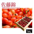  вишня Sato . превосходящий товар 2L и больше большой шар 600g Yamagata префектура восток корень город производство 6 месяц средний .~6 месяц последняя декада последовательный отправка 