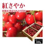 さくらんぼ 紅さやか 秀品 Mサイズ以上 600g 山形県 東根市産 6月上旬〜6月下旬 順次発送