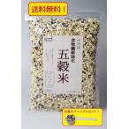 雑穀米 五穀米 500g 真