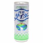 創健社 丹沢サイダー 250ml