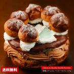 クリスマスケーキ 2019 送料無料 チョコレートケーキ 禁断のクリスマスケーキプレミアム チョコパリブレスト 5号サイズ お取り寄せ ギフト プレゼント