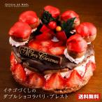 クリスマスケーキ 2019 送料無料 チョコレートケーキ イチゴづくしのダブルショコラパリブレスト5号サイズ お取り寄せ ギフト プレゼント