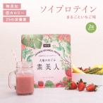 ショッピングソイプロテイン ソイプロテイン まるごといちご味 大地のめぐみ素美人 500g 国産 無添加 女性 の為の完全食 タンパク質 たんぱく質 スーパーフード 送料無料