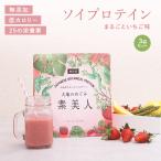 ソイプロテイン まるごといちご味 大地のめぐみ素美人 750g 国産 無添加 女性 タンパク質 完全食 完全栄養食 タンパク質 スーパーフード 送料無料