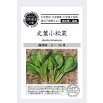  круг лист шпинат комацуна вид волчок .. органический природа сельское хозяйство закон природа культивирование фиксация вид 