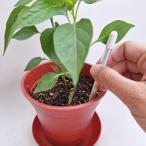 SUSTEE подвеска чай полив контрольно-измерительный прибор M размер можно выбрать цвет 