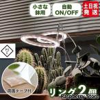 植物育成ライト led 太陽光 ２灯 おしゃれ スタンド 多肉植物 観葉植物 LED 植物育成 タイマー 太陽光 観葉植物育成ライト 多肉 防水