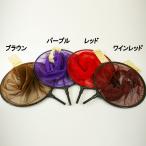 ダイシン カーボン玉網(機械編み網)尺 (30039-30)｜へらぶな ヘラブナ 玉網 道具 アミ