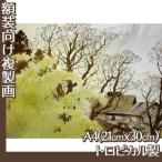 . производства .A4( сумма нет ) Kawai шар .(No.21~26) тропический производства 