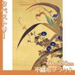 タペストリー60cm×90cm 酒井抱一(No.21~40) 不織布フラット100g