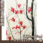 . производства .F3 номер ( сумма нет ) Kobayashi старый диаметр все 1 вид микроволокно производства 