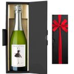 ショッピングメッセージカード無料 スパークリングワイン 1本【無料 ギフト箱 リボンラッピング メッセージカード】フランス ロワール 750ml 誕生日 御祝  送料無料