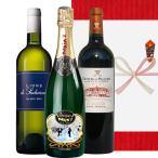 ショッピングメッセージカード無料 高級 ワインギフト 3本セット【無料 熨斗付 メッセージカード】 フランス 赤 白 シャンパン プレミアム 飲み比べセット ボルドー ギフト箱付 送料無料