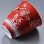 名入れ ギフト SXX 有田焼 赤富士 焼