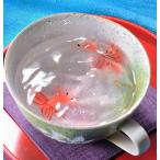 名入れ ギフト SXX 有田焼 ぷっくり