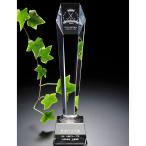  название inserting подарок подарок подарок Anniversary новое здание праздник . переезд праздник . открытие * открытие праздник .. работа праздник . входить . праздник .. индустрия праздник . награждение сувенир crystal высокий Trophy шестиугольник 