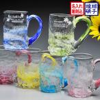 琉球ガラス 泡シブキ ビアジョッキ 単品 ギフト プレゼント 誕生日 記念日 敬老の日 父の日 長寿 還暦 米寿 喜寿 古希 傘寿 お祝い 20代 30代 40代