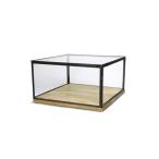 ディスプレイキャビネット Lサイズ おしゃれなガラスケース ショーケース 小物入れ