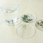 トウメイ 押花 コースター セット おしゃれ 花 4枚セット 木箱入り 人気 アクリル樹脂製 日本製 プレゼント ギフト