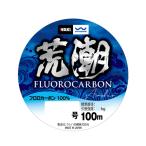 【2Cpost】脇漁具 船ハリス フロロカーボン荒潮100m 26号 (waki-260147)