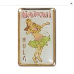  Гаваи прямой импорт!! Hawaiian булавка zfla значок Hawaiian смешанные товары Гаваи смешанные товары 