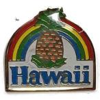  Гаваи прямой импорт!! Hawaiian булавка z ананас радуга u значок 