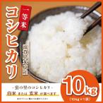 ÎáÏÂ6ǯ»º¤ªÊÆ 10kg ·Ö¤ÎΤ¤Î¥³¥·¥Ò¥«¥ê¡¡¡¡¡¡¡¡¡¡¡¡¡¡¡¡¡¡¡¡¡¡¡¡¼¢²ì¸©»º ÇÀ²ÈľÁ÷ Á÷ÎÁ̵ÎÁ