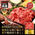 肉 牛肉 焼肉 切り落と