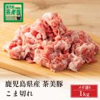 肉 豚肉 鹿児島県産 ブ