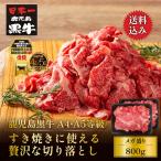 牛肉 すき焼き 黒毛和牛 鹿児島黒牛 A4 A5 等級 すき焼きに使える贅沢な切り落とし 800g(400g×2) モモ ウデ 肩ロース使用 トレー仕様 ギフト対応可 爆買