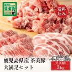 豚肉 焼肉 しゃぶしゃぶ 鹿児島県産 茶美豚 大満足セット 3kg ロースとんかつ用 バラスライス こま切れ各種1kg トレー仕様 お取り寄せ ブランド豚