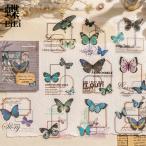  в тот же день отгрузка за границей наклейка прозрачный наклейка бабочка рамка-оправа английский язык гонки хлопья наклейка украшение бабочка . бабочка прозрачный наклейка 30 листов PET прозрачный водостойкий sztz-30-014